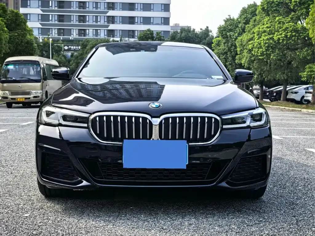 BMW 5 Series 2022 из CN, фото 9
