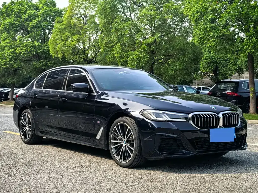 BMW 5 Series 2022 из CN, фото 8