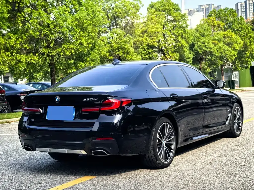 BMW 5 Series 2022 из CN, фото 7