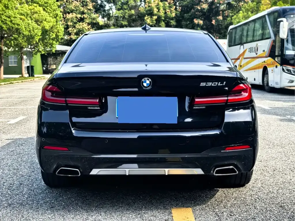 BMW 5 Series 2022 из CN, фото 3