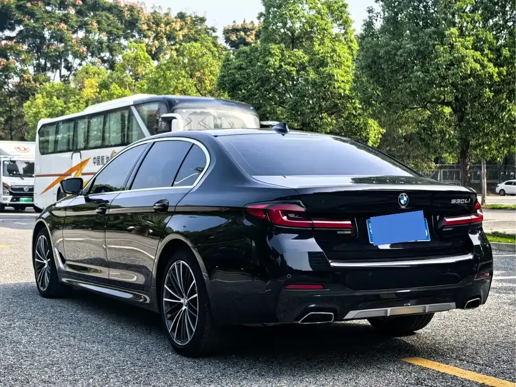 BMW 5 Series 2022 из CN, фото 6