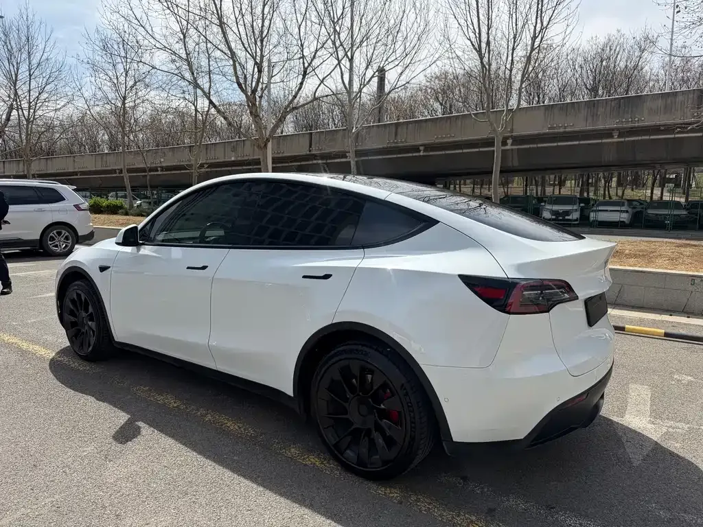 Tesla Model Y — фото 10