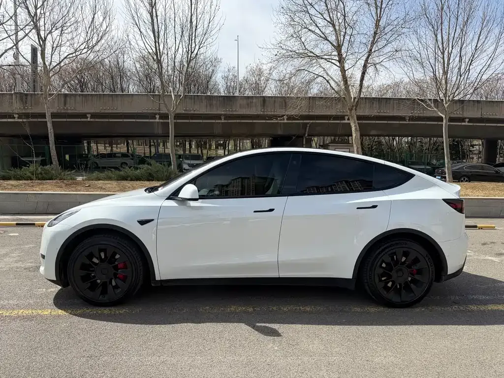 Tesla Model Y — фото 7