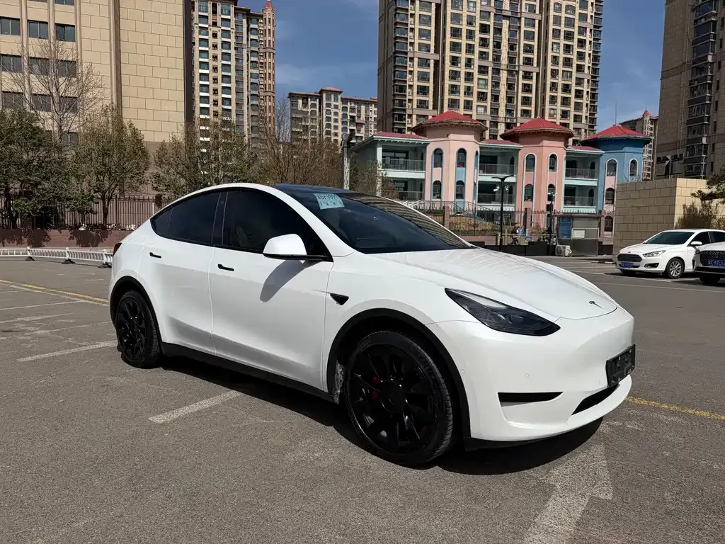 Tesla Model Y — фото 6