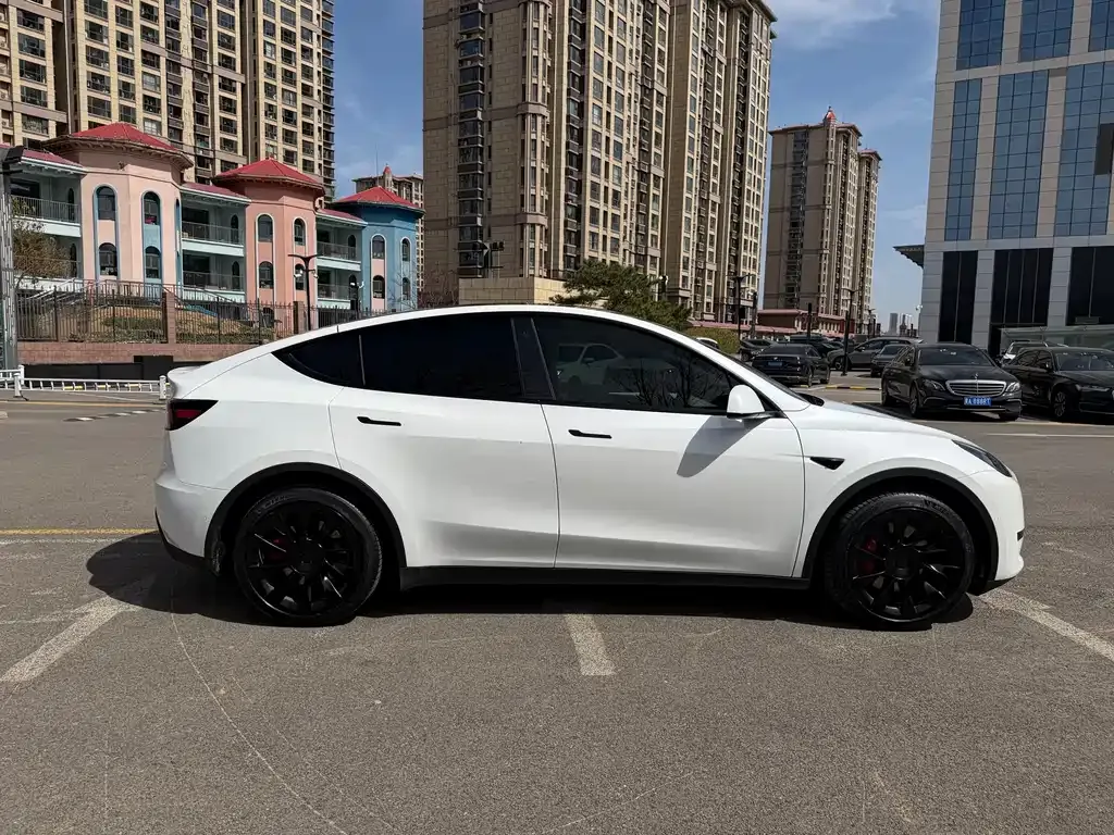 Tesla Model Y — фото 9