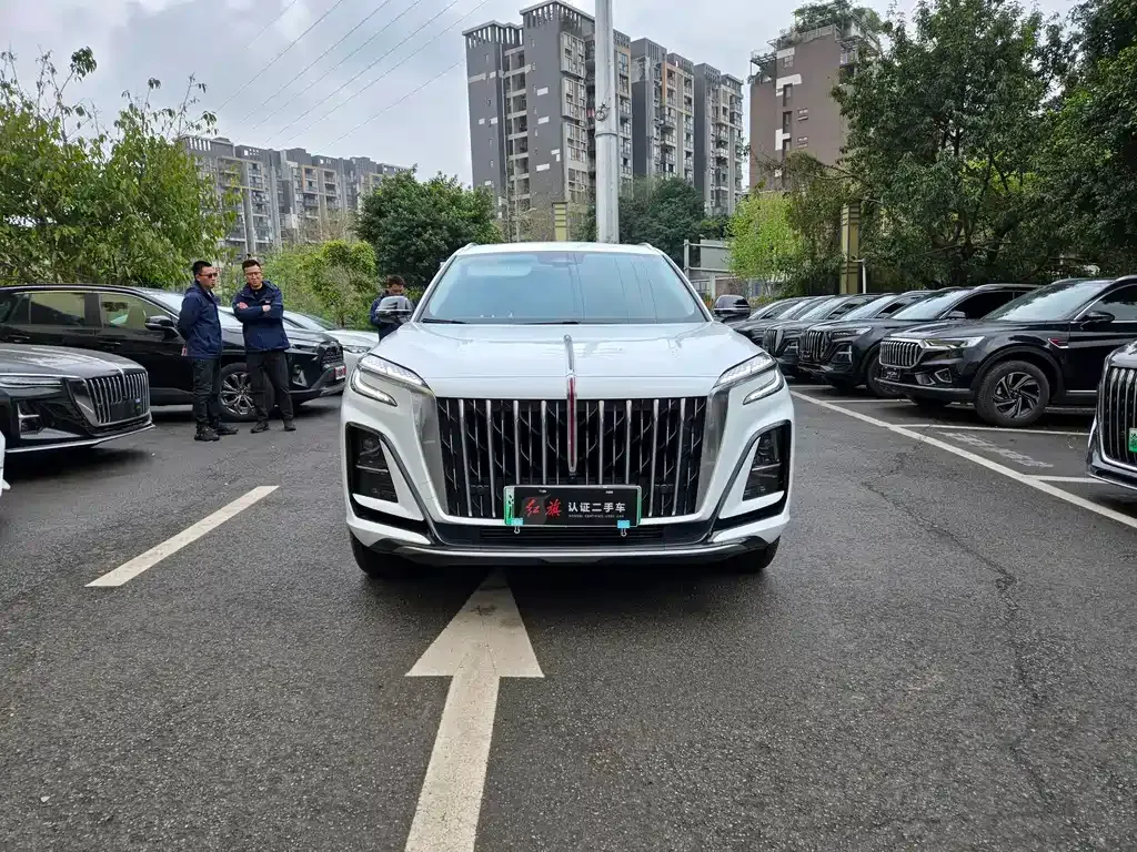 Hongqi HS3 PHEV 2025 из CN, фото 9