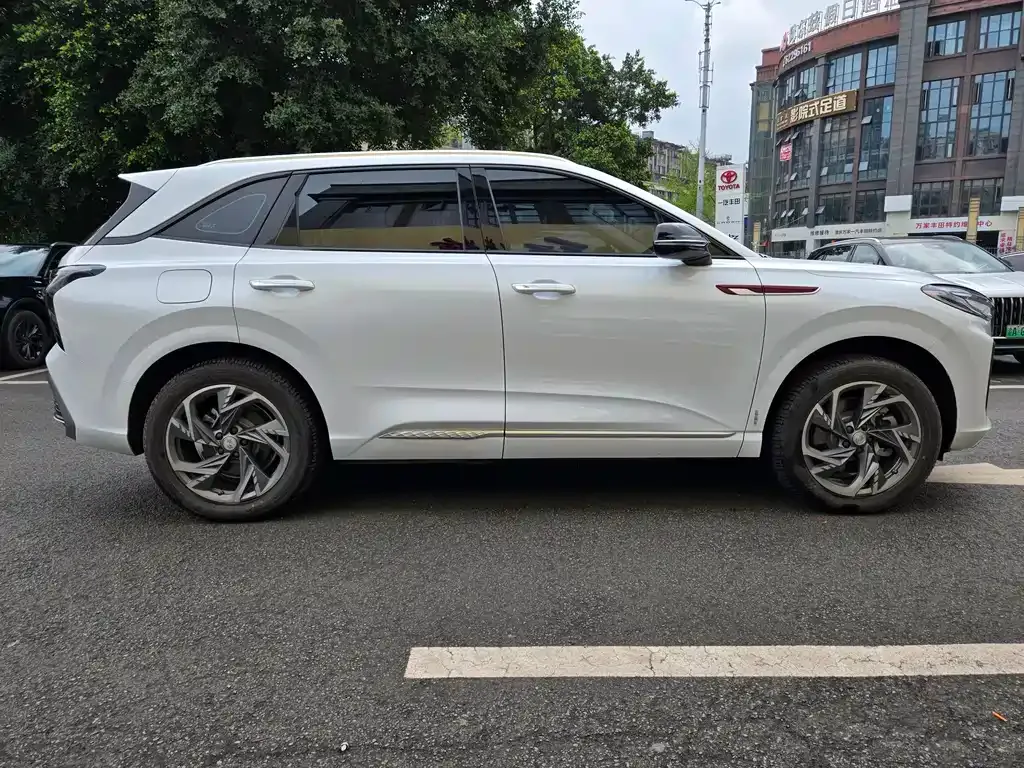 Hongqi HS3 PHEV 2025 из CN, фото 6