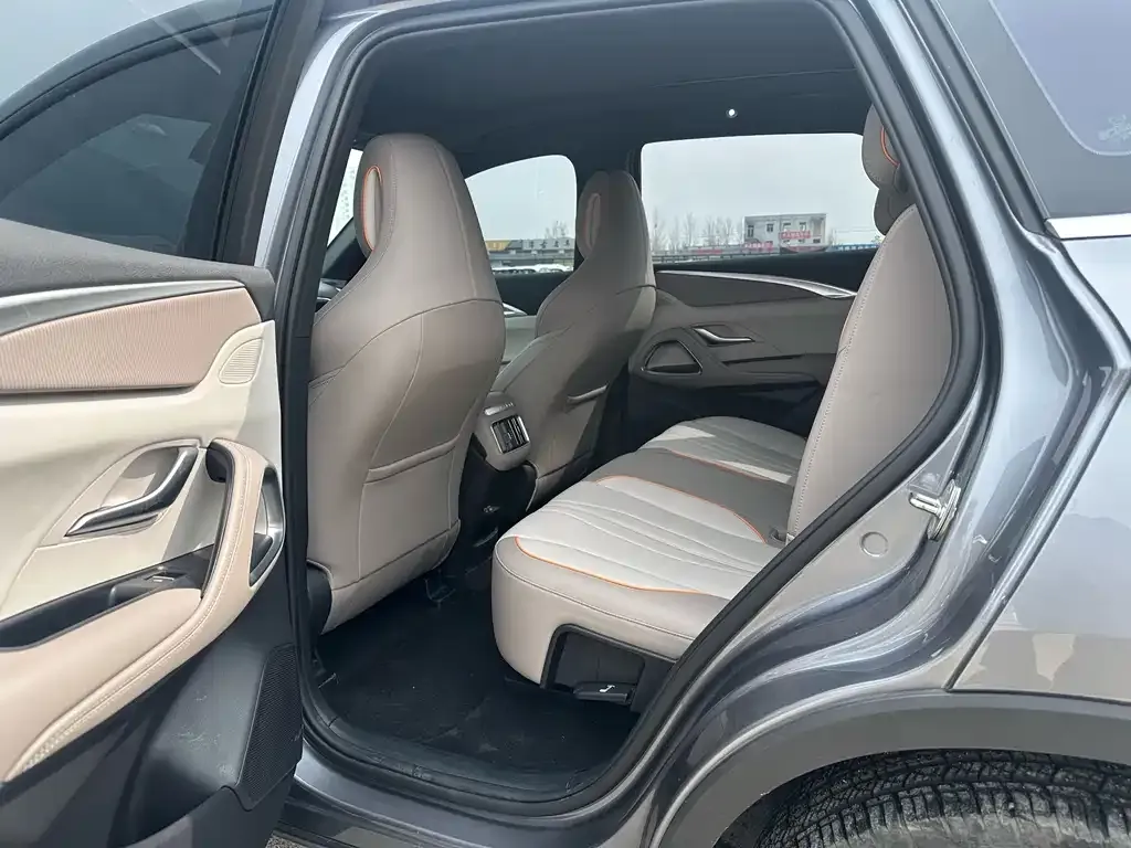 BYD Pro New Energy 2026 из CN, фото 3
