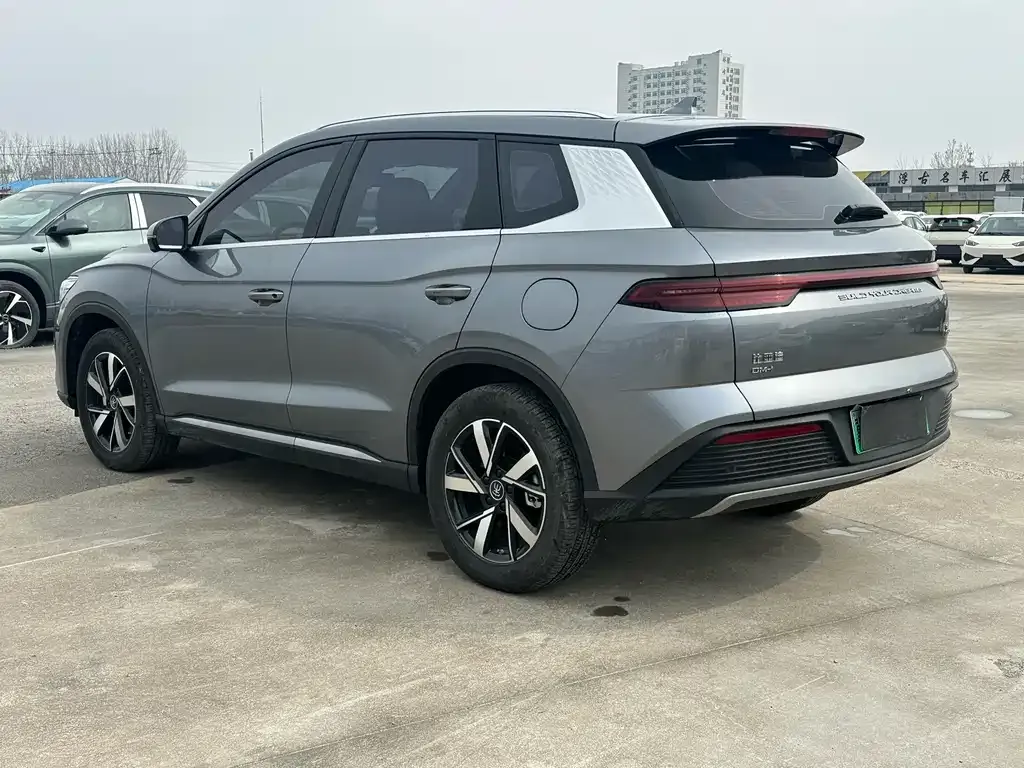 BYD Pro New Energy 2026 из CN, фото 7