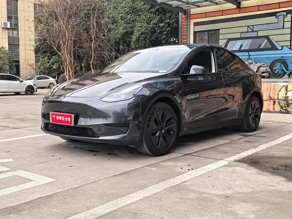 Tesla Model Y — фото 1