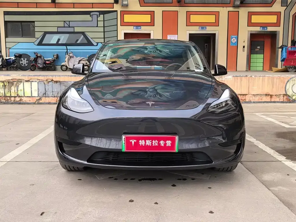 Tesla Model Y — фото 3