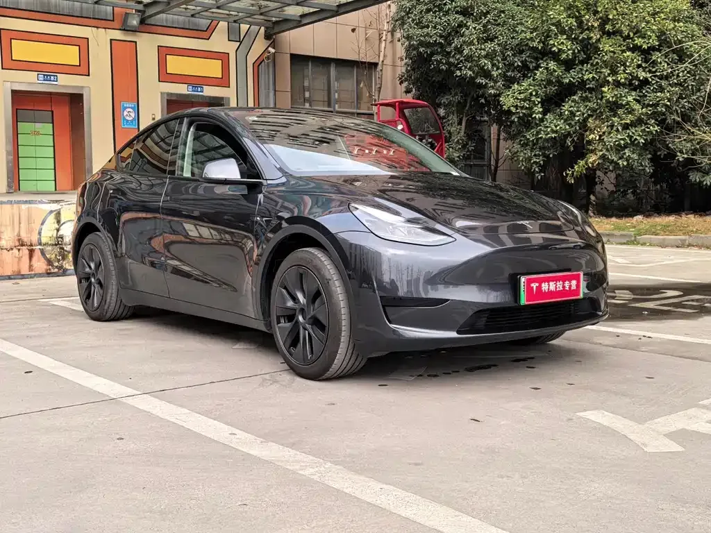 Tesla Model Y — фото 10
