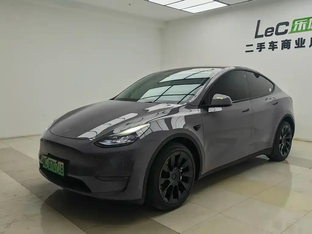 Tesla Model Y 2021 из CN, фото 1