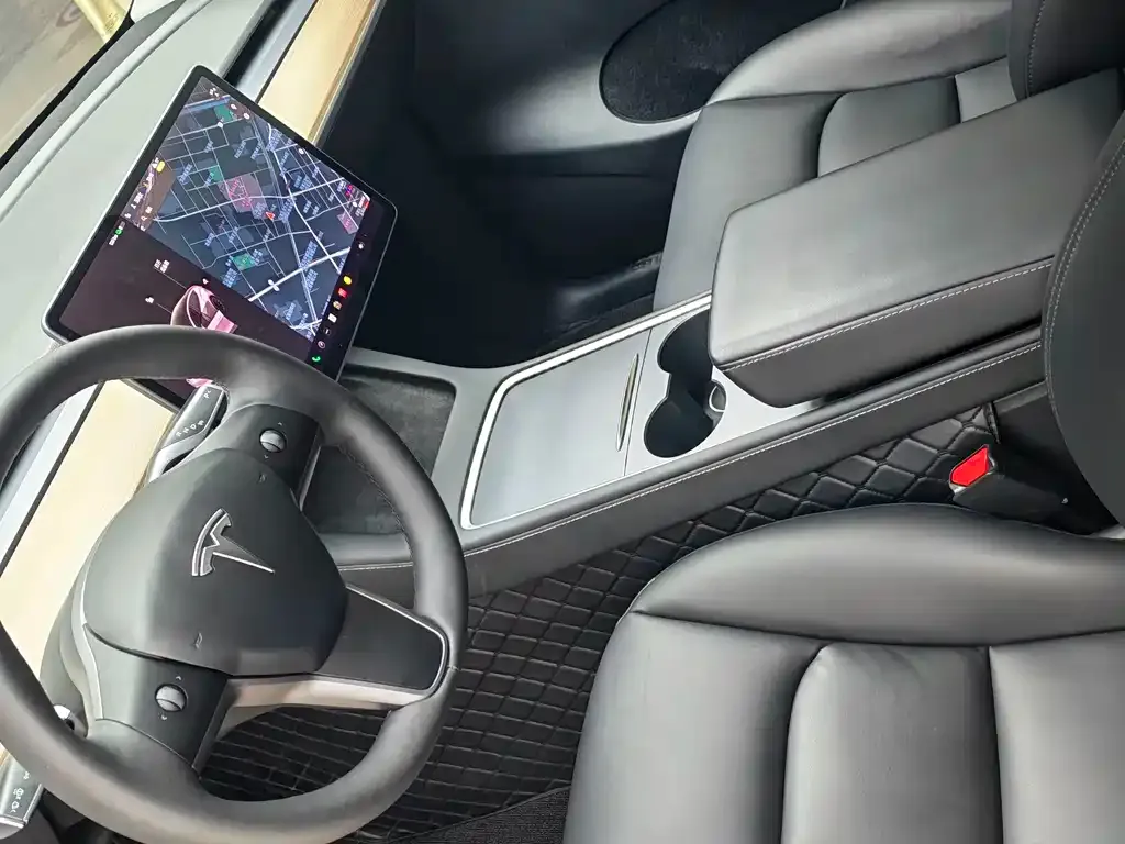 Tesla Model Y 2021 из CN, фото 9