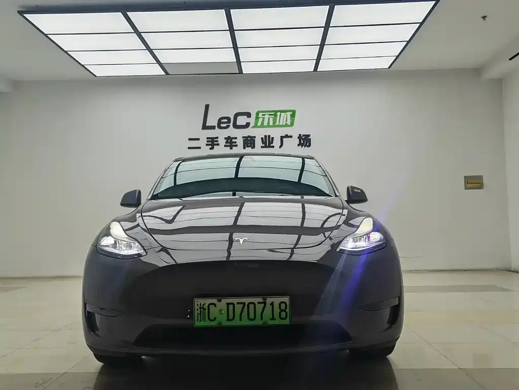 Tesla Model Y 2021 из CN, фото 10