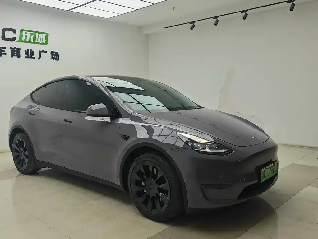 Tesla Model Y 2021 из CN, фото 8