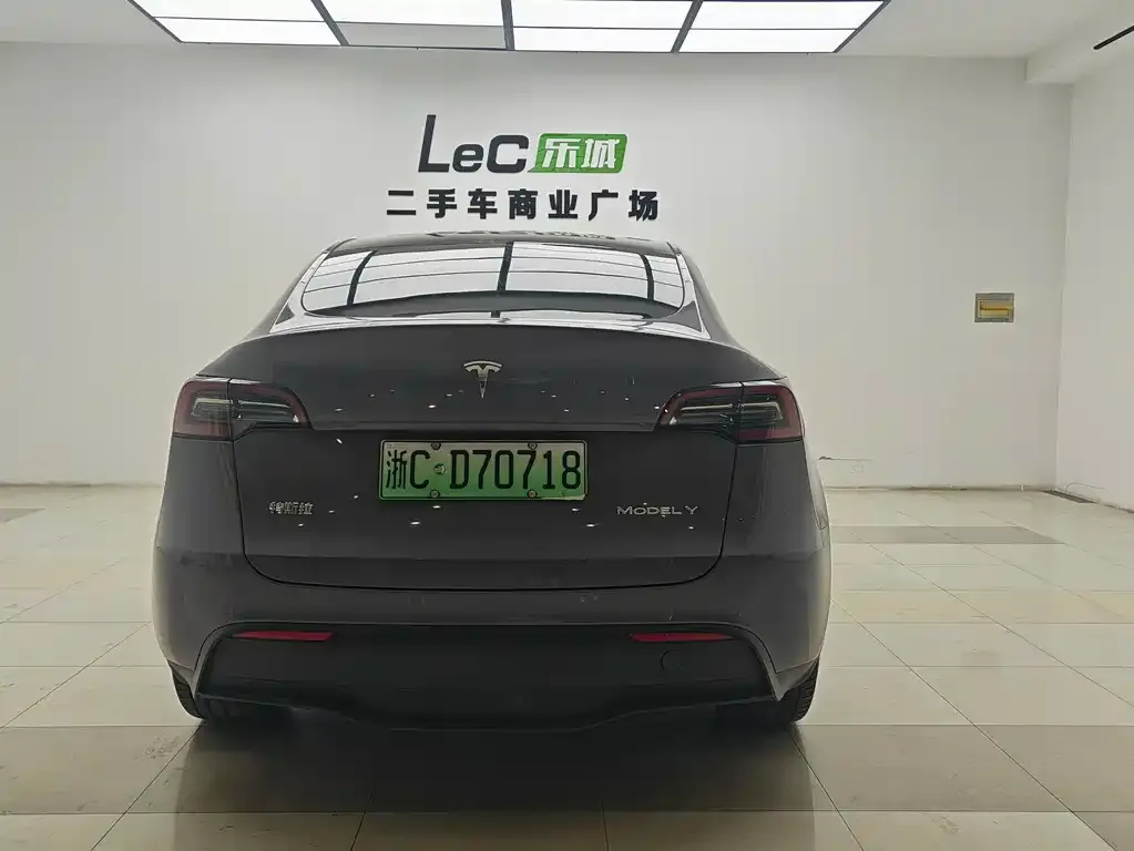 Tesla Model Y 2021 из CN, фото 4