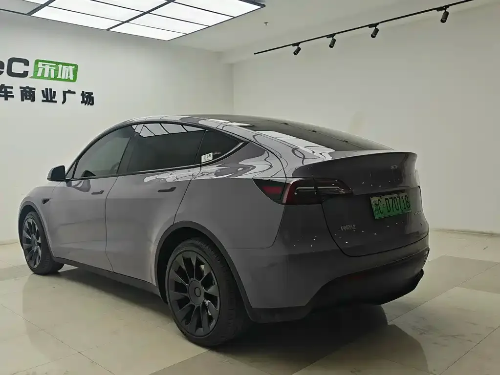 Tesla Model Y 2021 из CN, фото 3