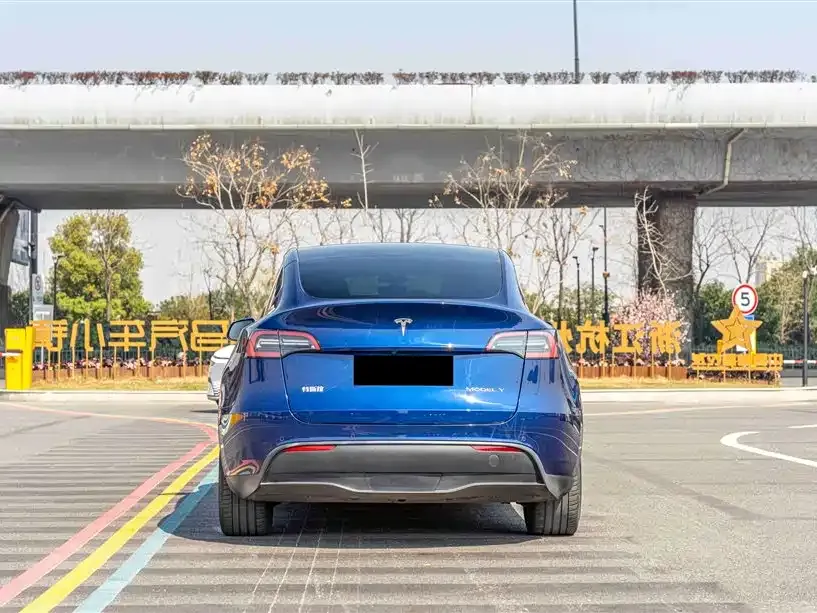 Tesla Model Y — фото 7