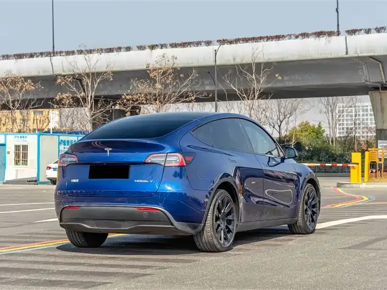 Tesla Model Y — фото 4