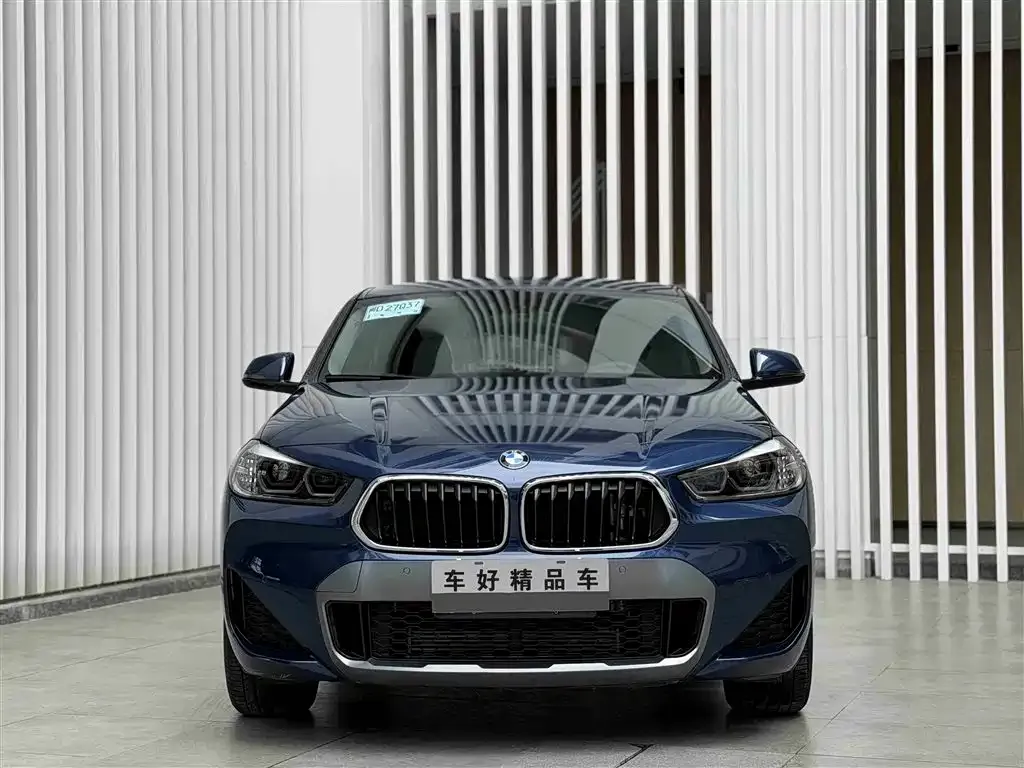 BMW X2 2021 из CN, фото 10