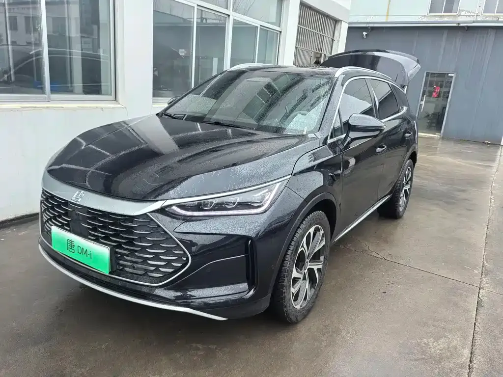 BYD Tang New Energy 2025 из CN, фото 1