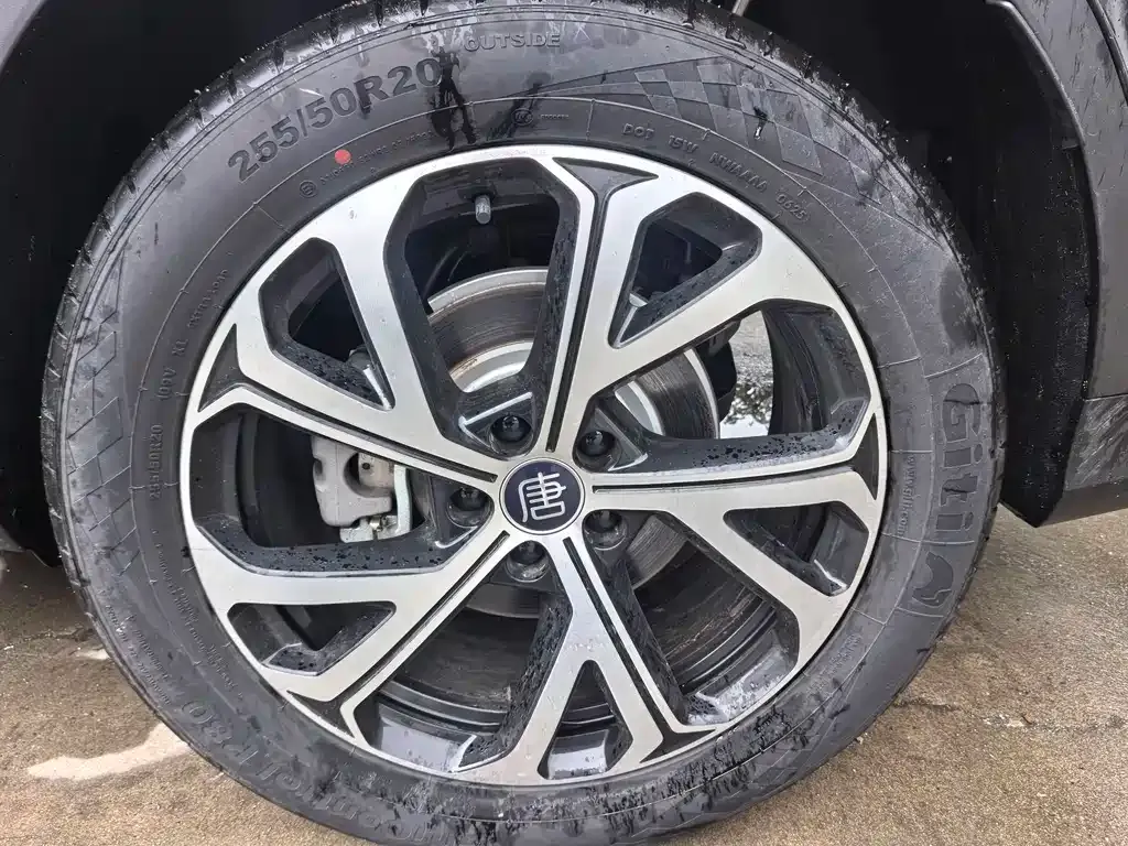BYD Tang New Energy 2025 из CN, фото 8