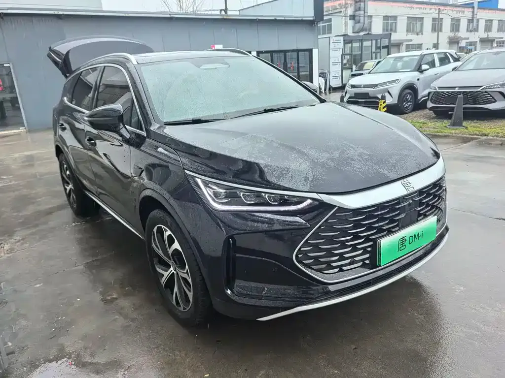 BYD Tang New Energy 2025 из CN, фото 4