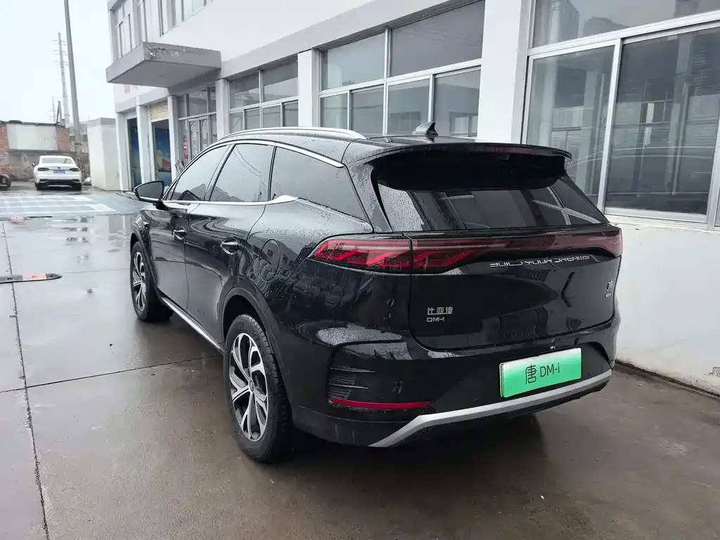 BYD Tang New Energy 2025 из CN, фото 7