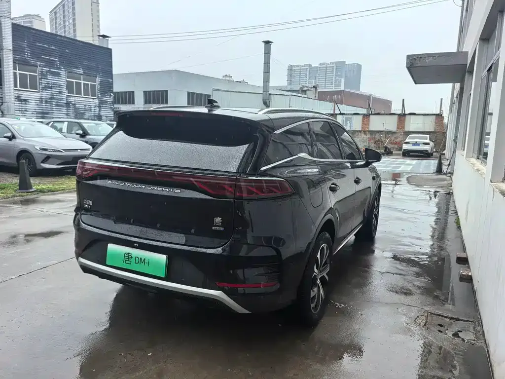 BYD Tang New Energy 2025 из CN, фото 6
