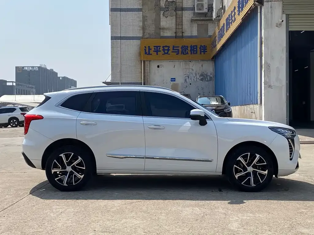 Haval Chulian 2021 из CN, фото 4