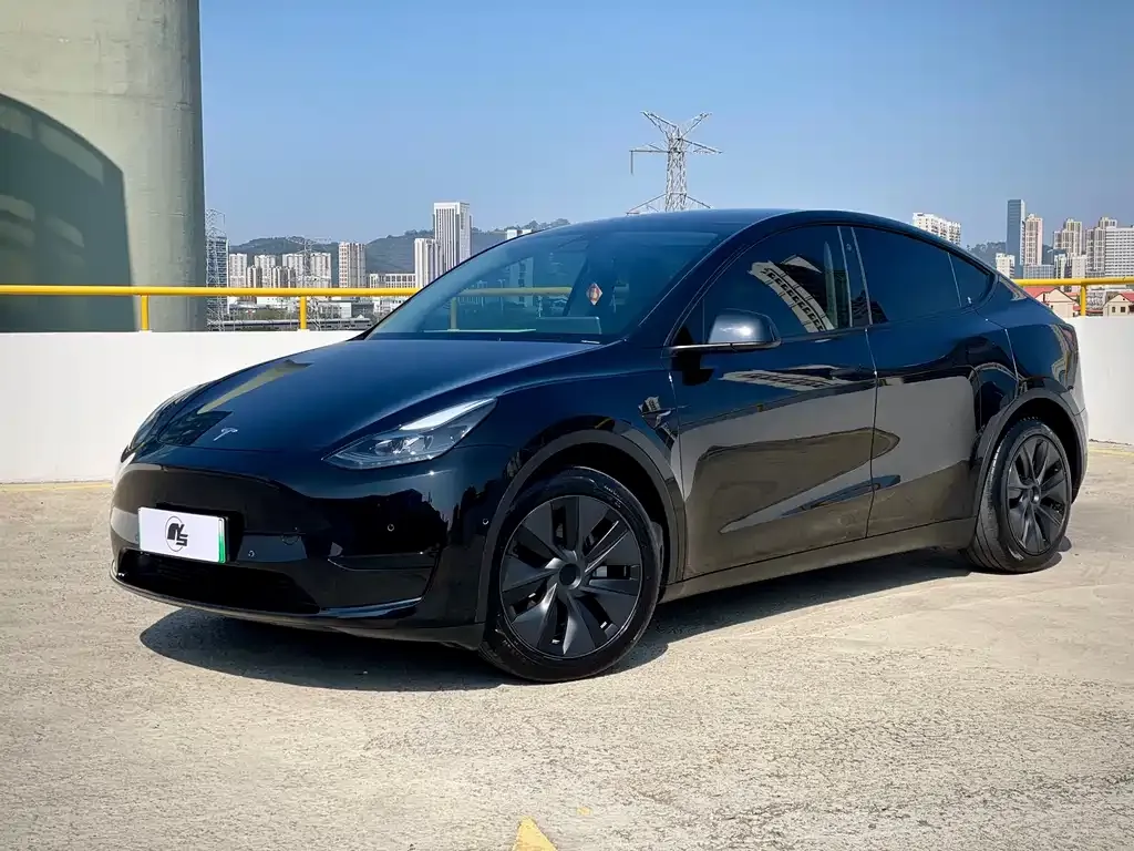 Tesla Model Y — фото 1
