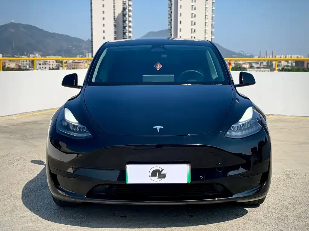 Tesla Model Y — фото 6