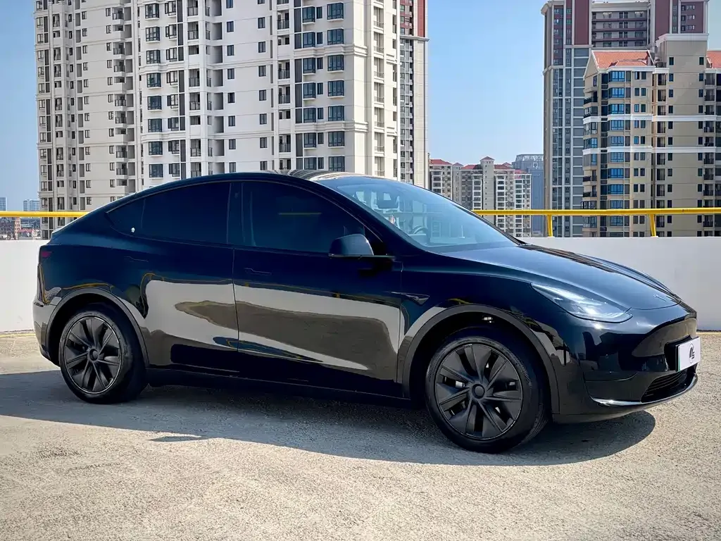 Tesla Model Y — фото 7