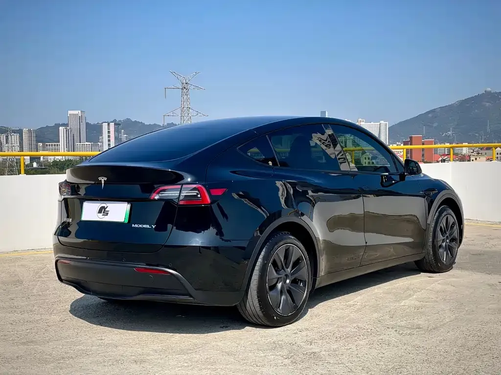 Tesla Model Y — фото 9