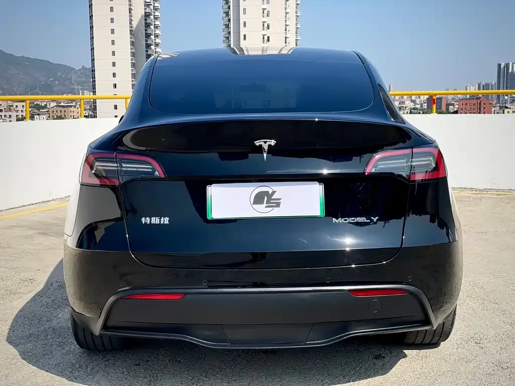 Tesla Model Y — фото 10