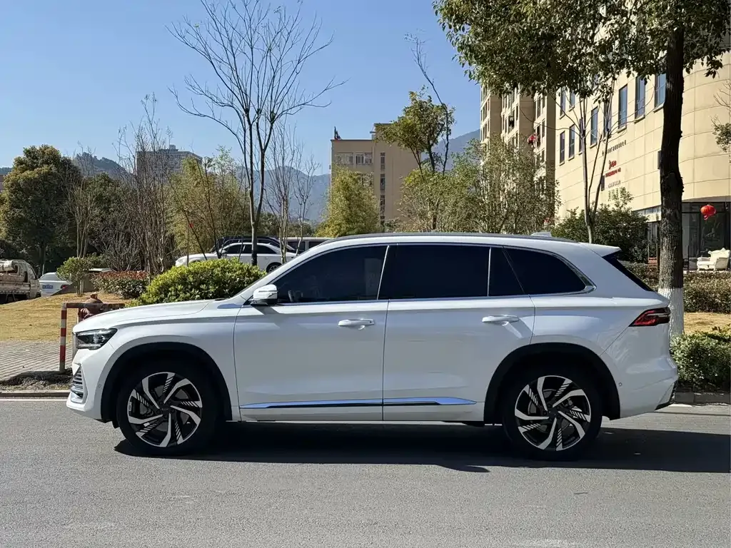Geely Xingyue L 2022 из CN, фото 9