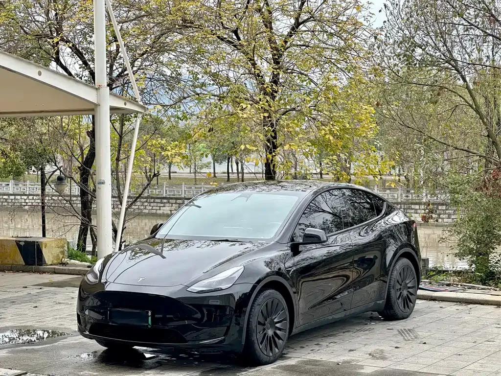 Tesla Model Y — фото 1