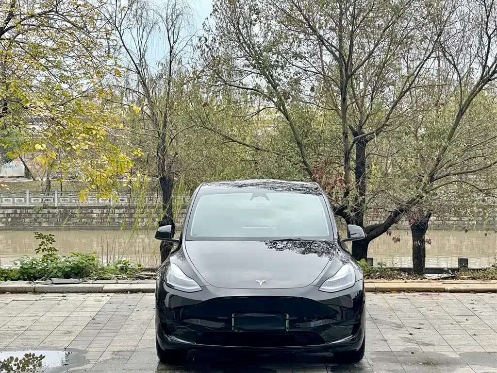 Tesla Model Y — фото 6