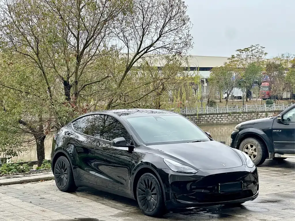 Tesla Model Y — фото 7