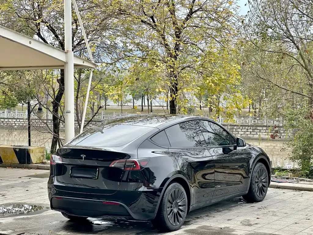 Tesla Model Y — фото 10