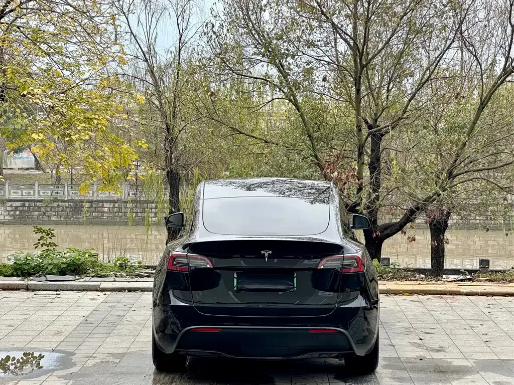 Tesla Model Y — фото 8