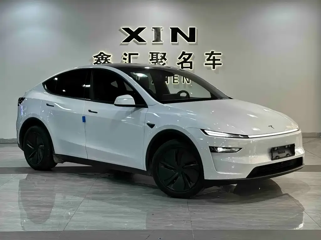 Tesla Model Y — фото 6
