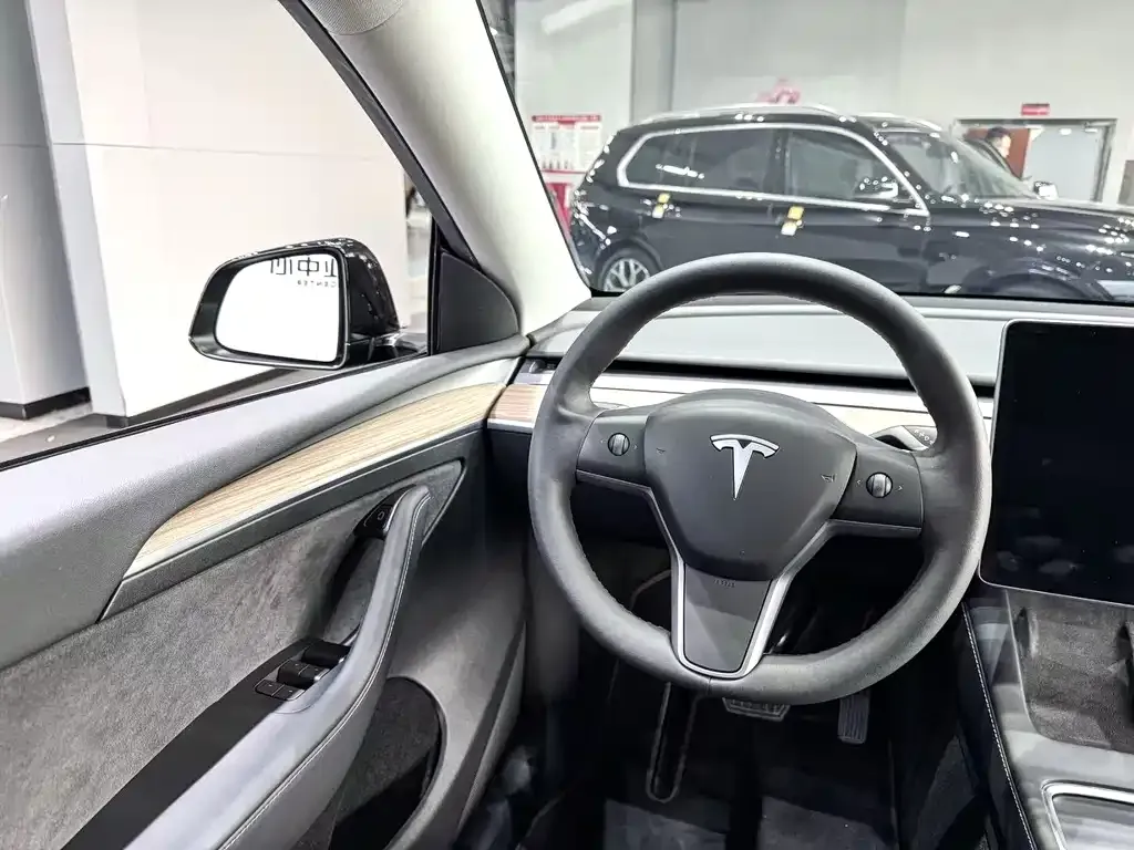 Tesla Model Y — фото 5
