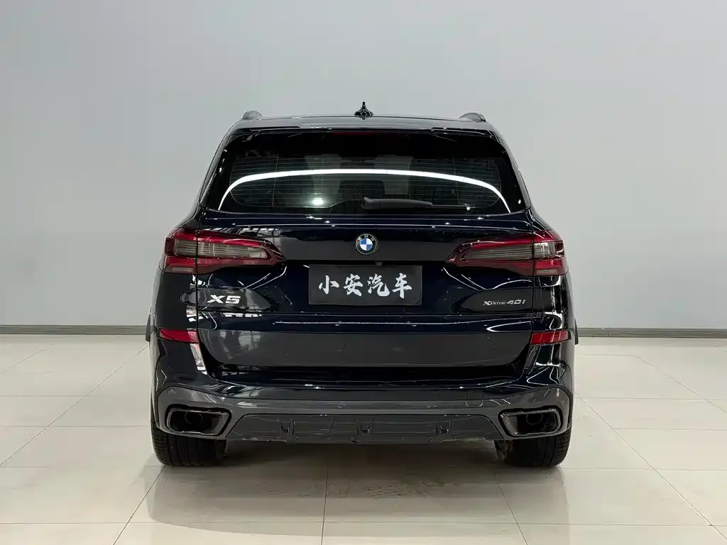 BMW X5 (Import) 2021 из CN, фото 9