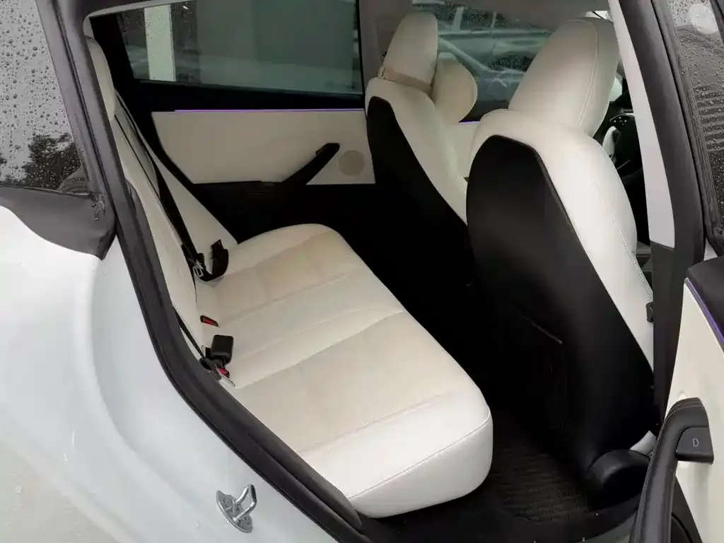 Tesla Model 3 2024 из CN, фото 2