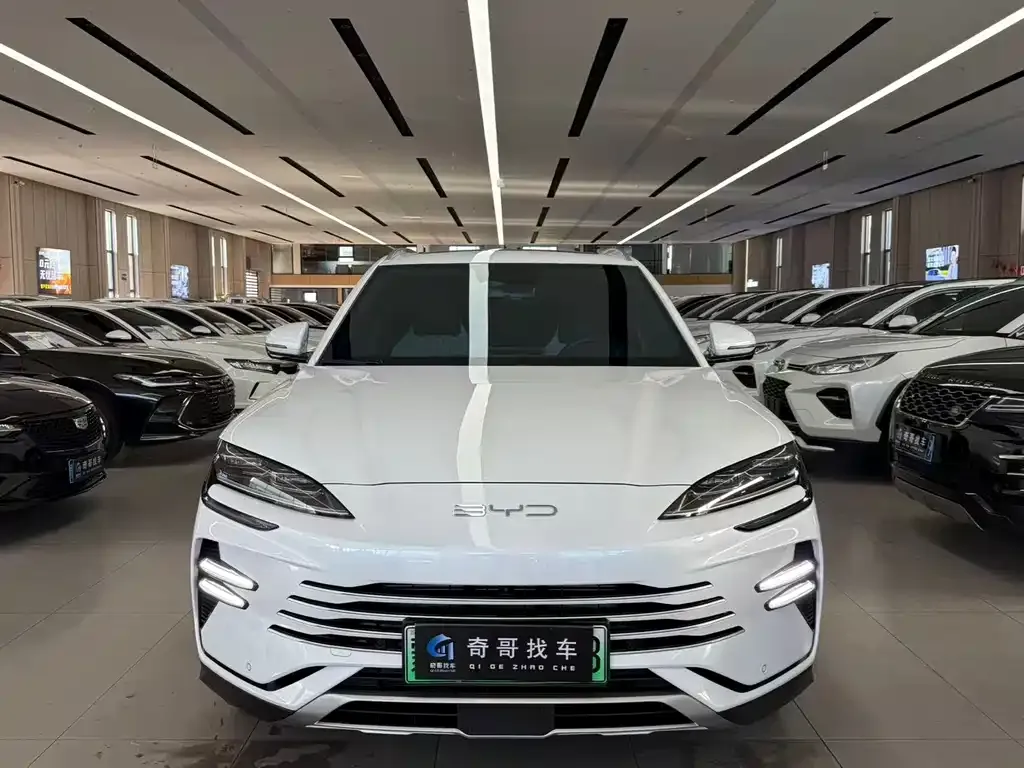 BYD PLUS New Energy — фото 5