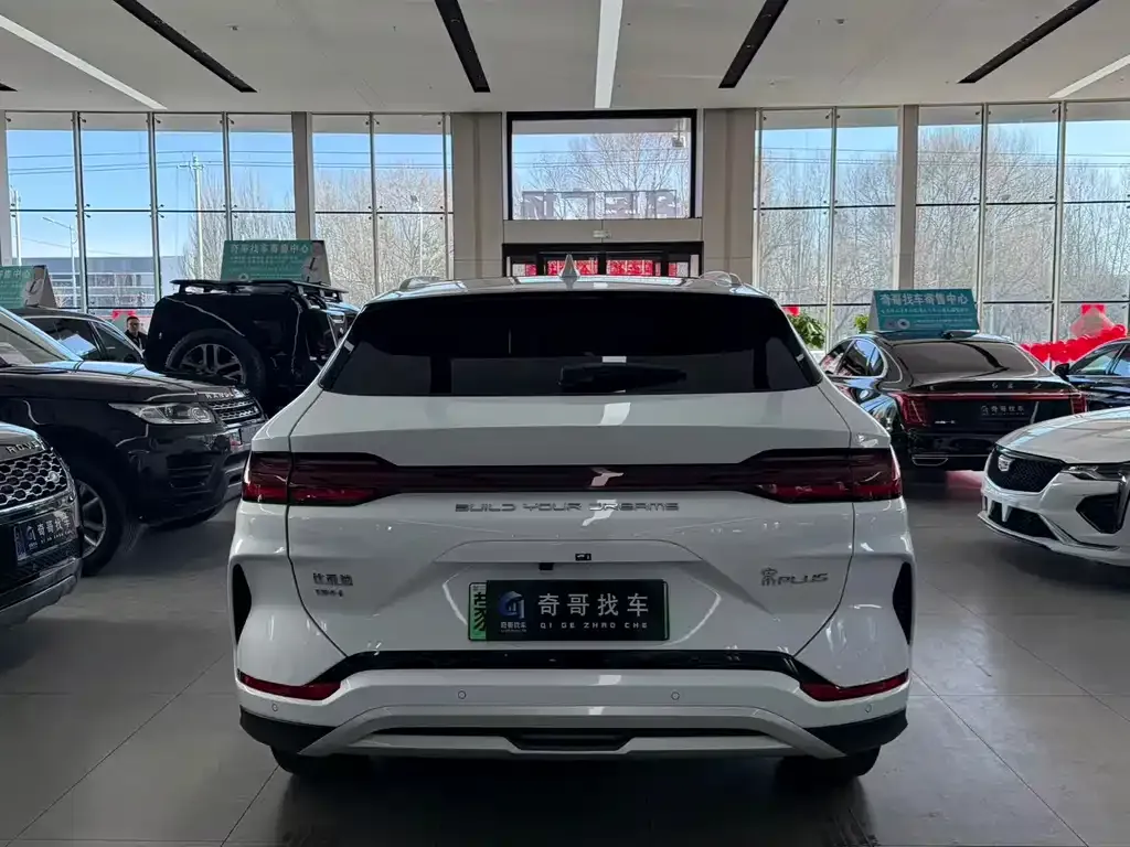 BYD PLUS New Energy — фото 4
