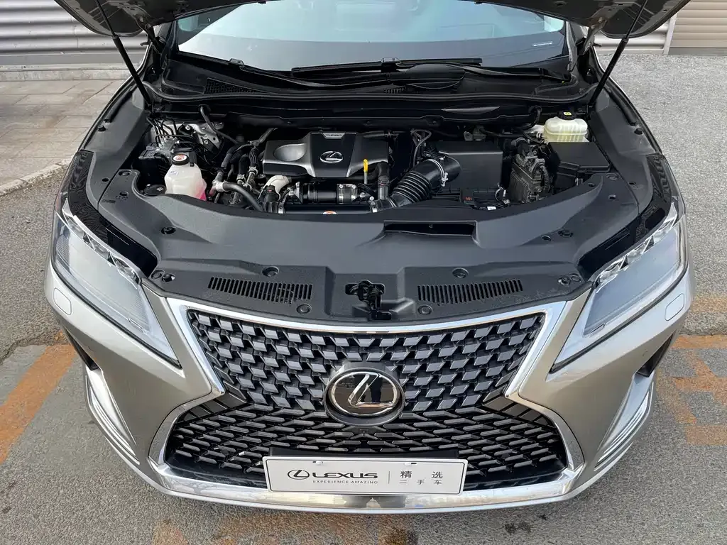 Lexus RX — фото 9