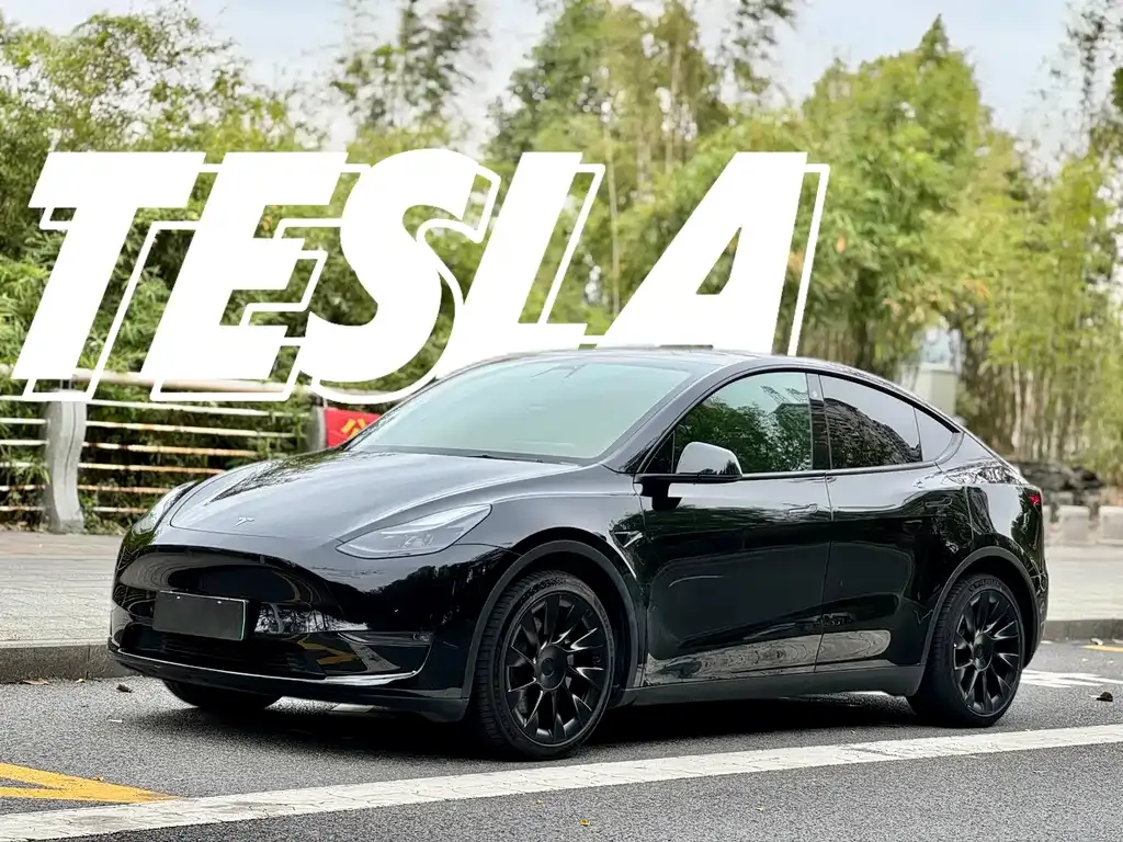 Tesla Model Y 2022 из CN, фото 1